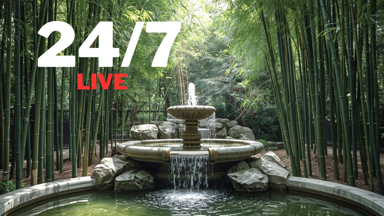 24/7 Relaxing Music (Fountain)