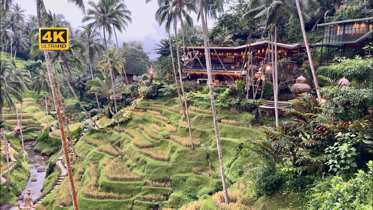 Walking in Alas Harum Bali,Indonesia [4K 60FPS]