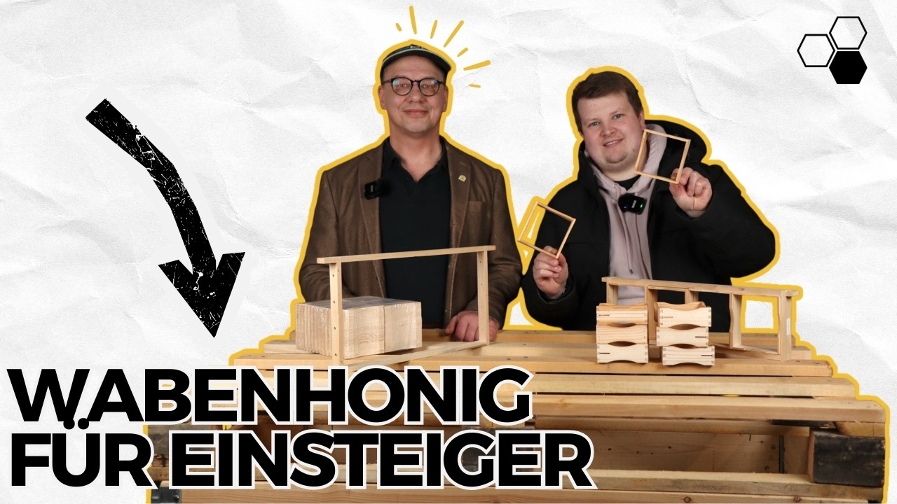 #Wabenhonig System I (Rahmenkonzept) erklärt: Perfekte Ernte ohne Schleudern | #thehoneyfactory