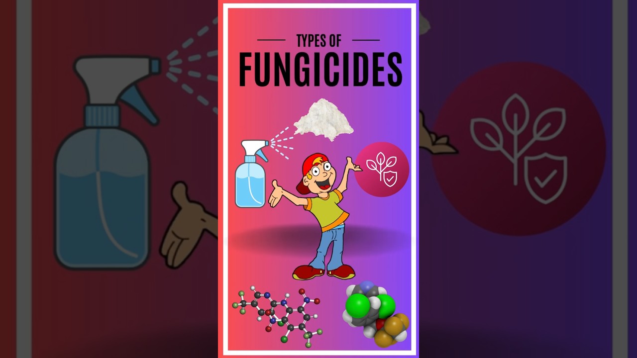 Types of fungicides based on mode of Action