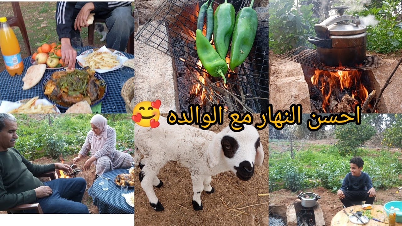 احسن نهار مع الوالده وهذه الاكله على الحطب وصحيه 💪🏻🐂