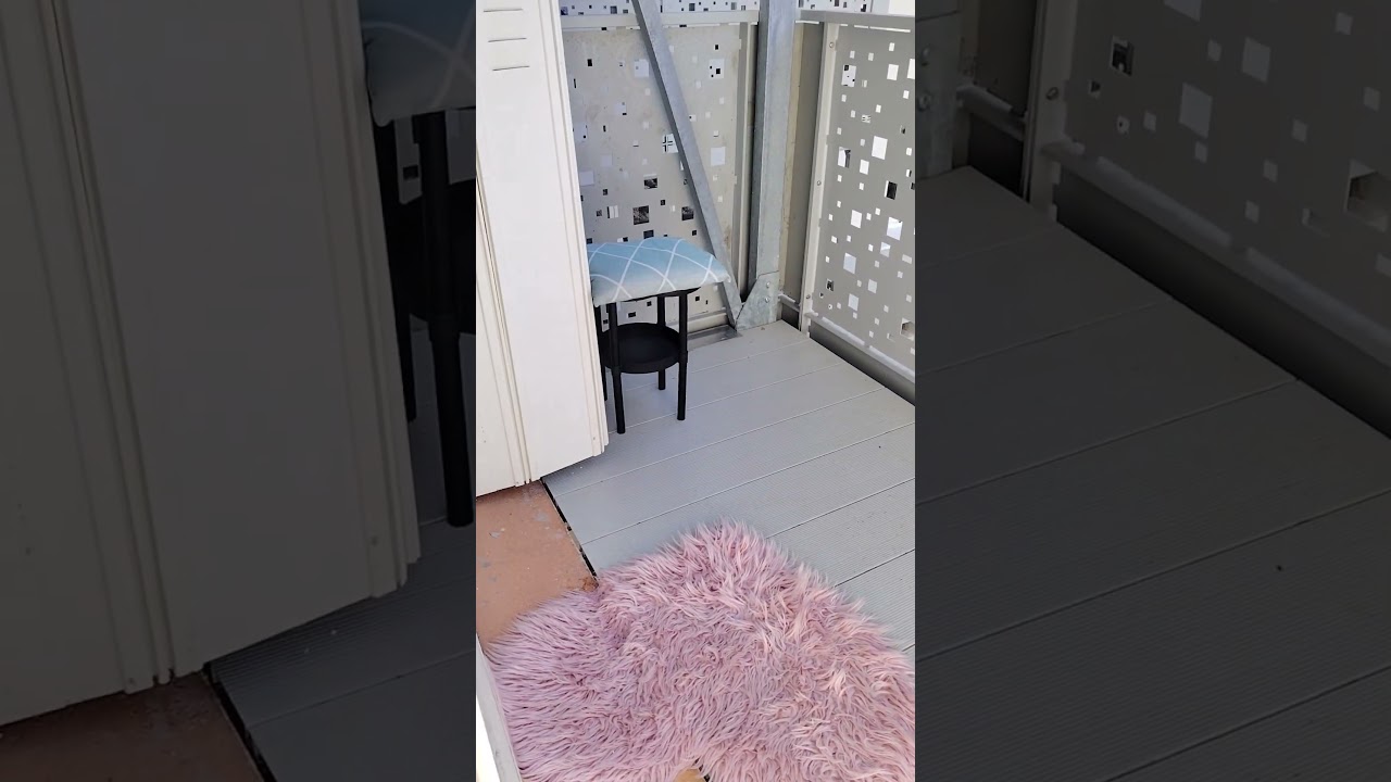 احيو معيا تاعي زوين ترقبوني