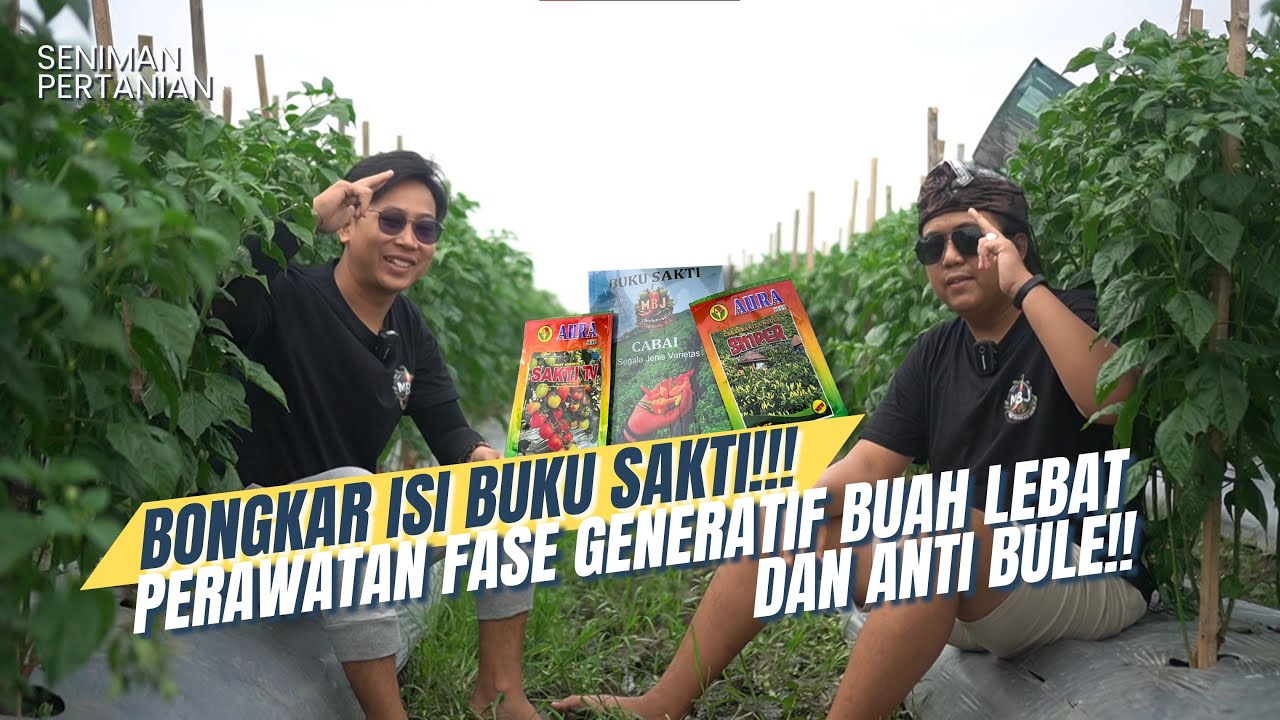 BINGUNG PENGAPLIKASIAN DI FASE GENERATIF?!!, BEGINI PERLAKUAN ALA SENIMAN PERTANIAN!!!