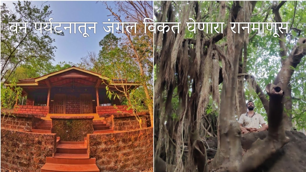 ४३एकरातील 