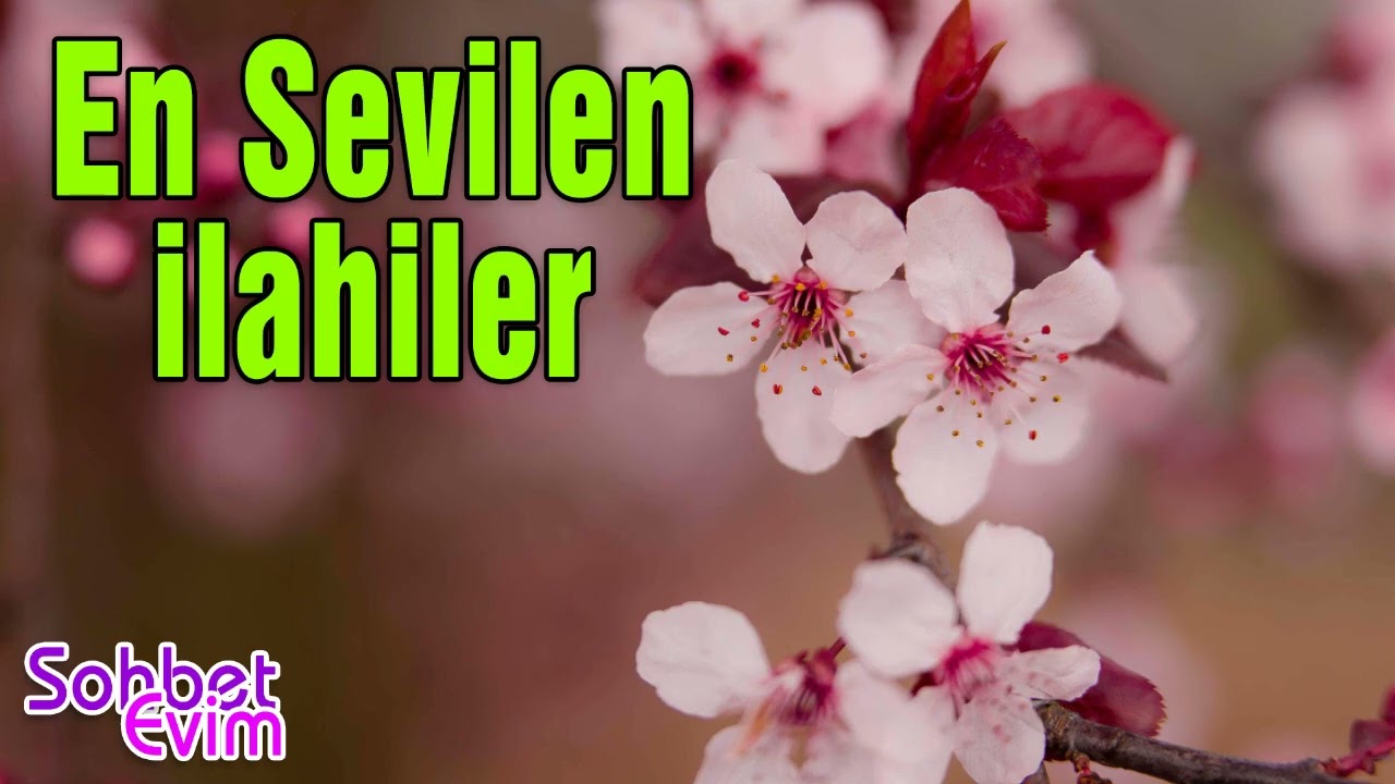 En Sevilen İlahiler 💖 Kervan İlahileri 💖 En Güzel İlahiler 💖 Karışık İlahiler