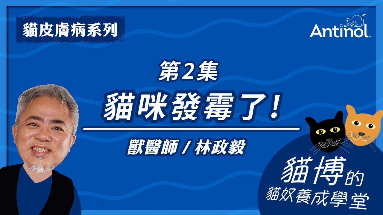 貓博的貓奴學堂｜貓皮膚病系列_第2集｜貓咪發霉了！