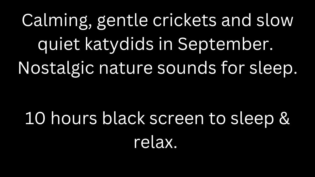 Calming, gentle crickets, slow quiet katydids in September, black screen 10 hour cricket sounds