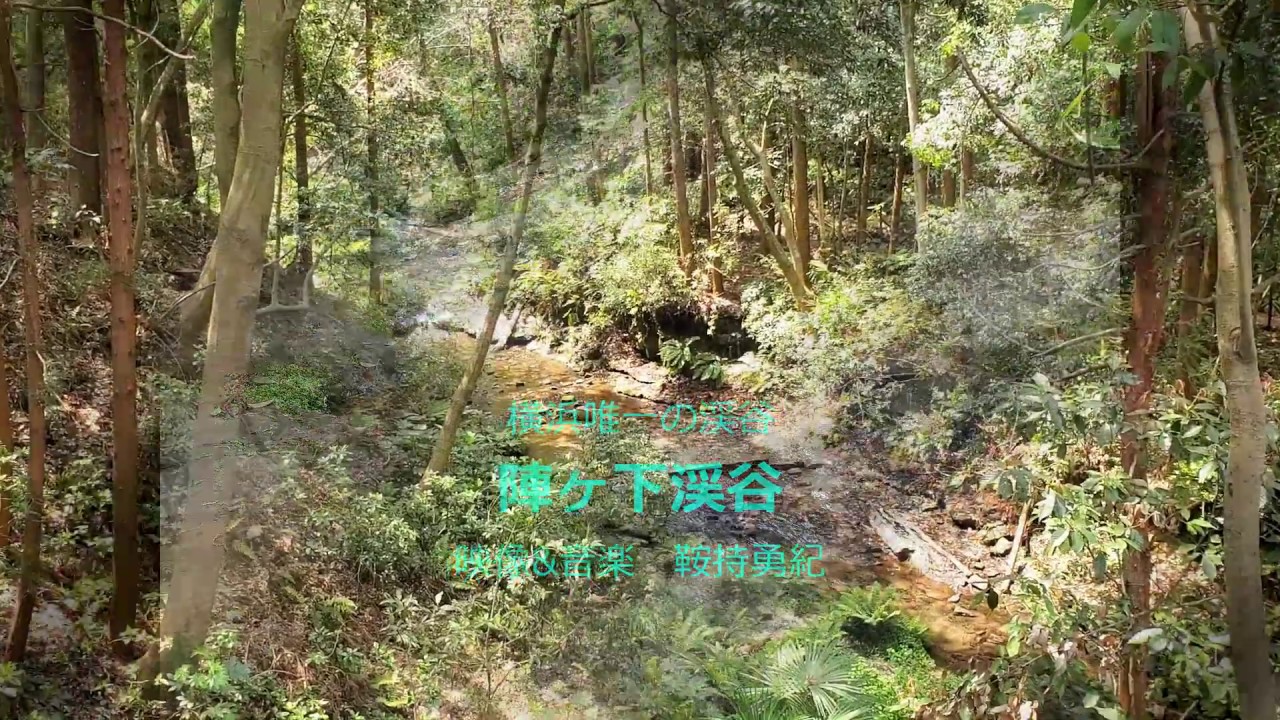 横浜唯一の渓谷「陣ヶ下渓谷」