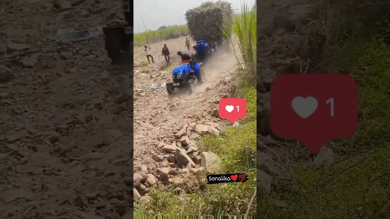 sonalika small tractor pulling fully loaded sugarcane trolly💯❤️❤️❤️❤️🥰🥰