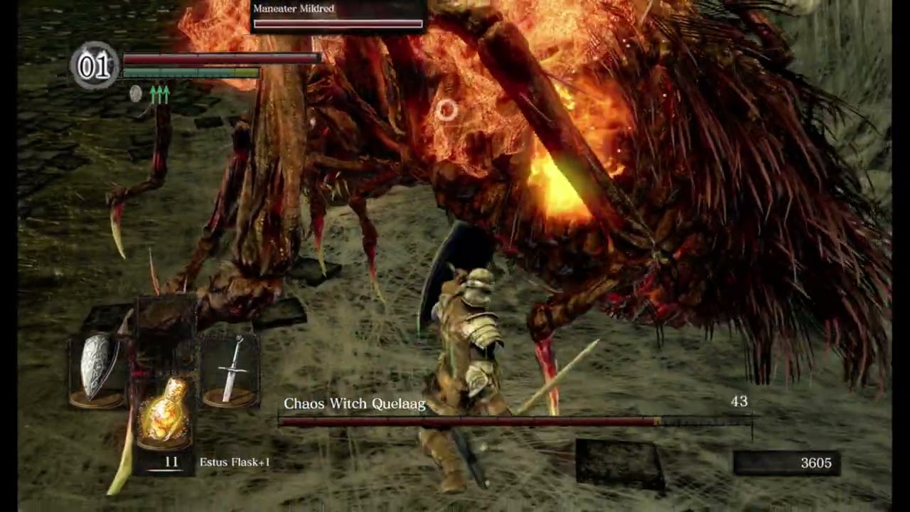 Dark Souls Footage Part 09