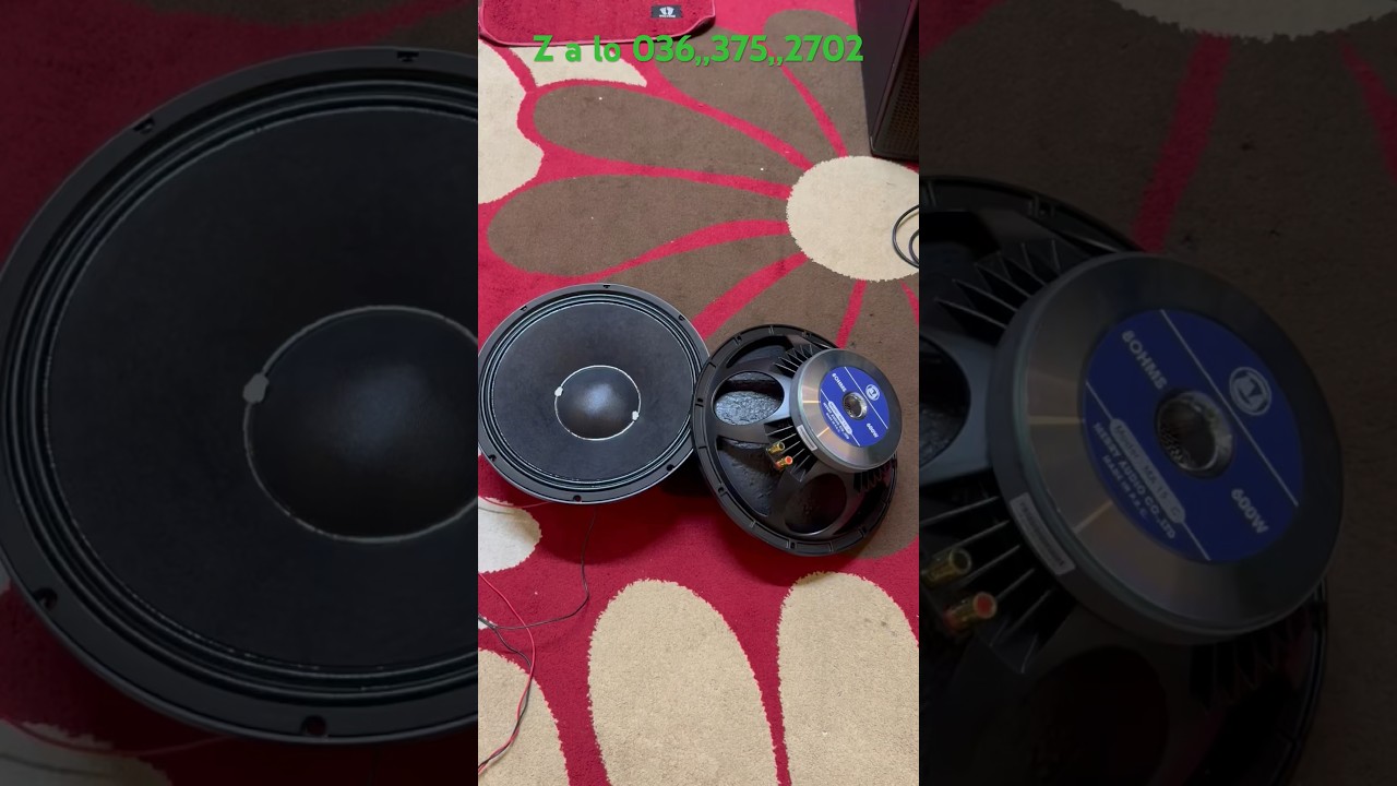 Loa Bass 40 Merry Audio, MA 15 - C, từ 190 coil 76 #loa #merryaudio #sukien #damcuoi #array #shorts