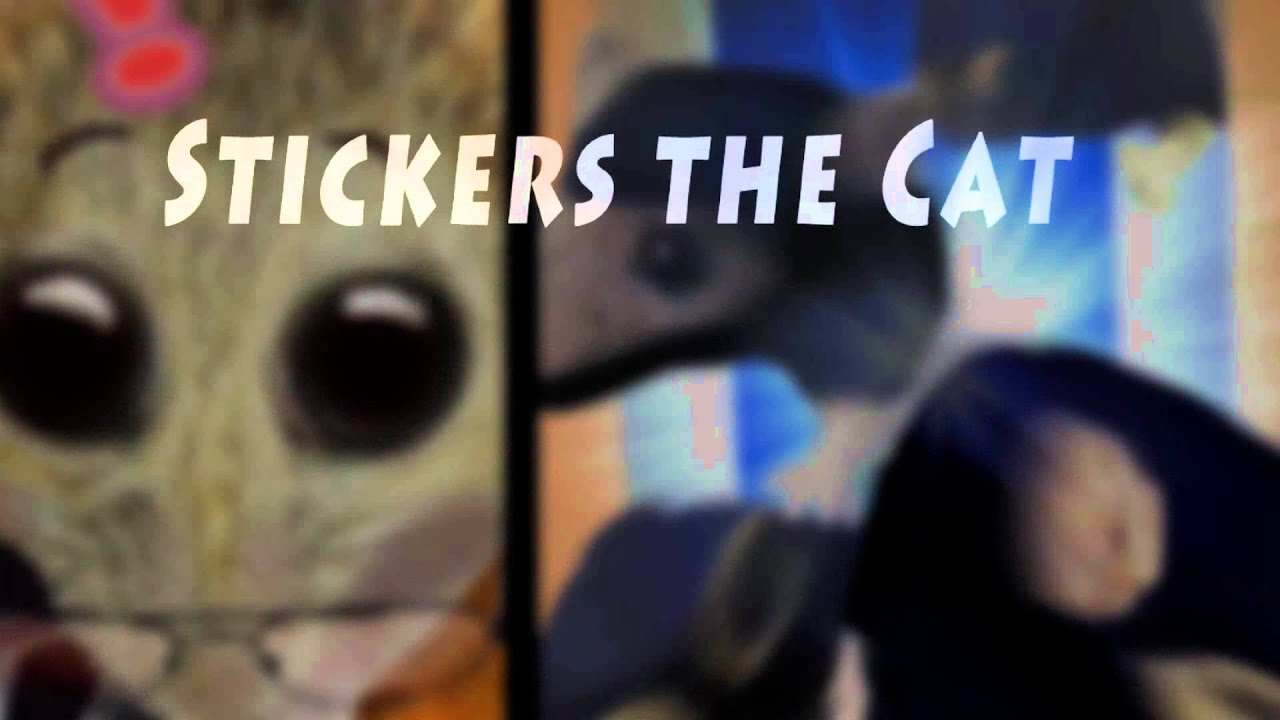 STC promo 1