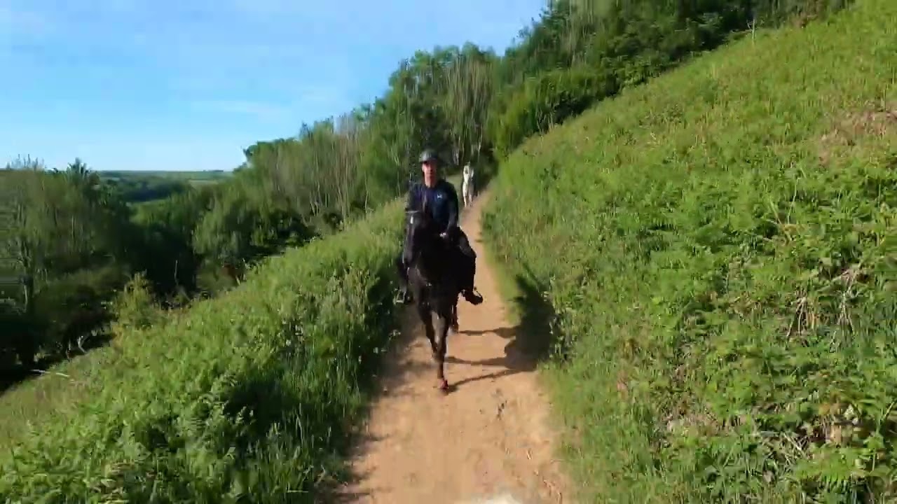 Steven Elder (Actor) Horse riding reel