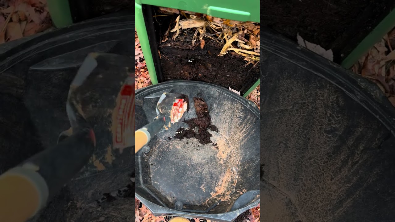 Harvesting Nutrient Rich Compost from the Aerobin 200 Hot Compost Bin - Aerobin 200 and Aerobin 400