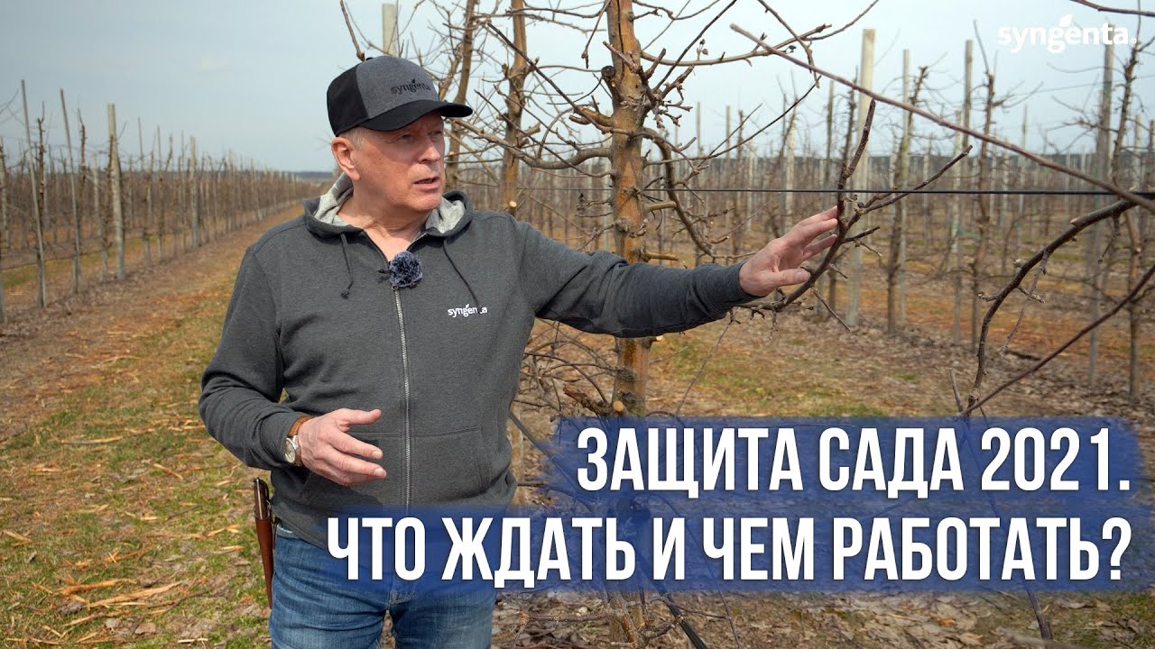 Защита сада 2021. Какие проблемы ожидать и чем работать?