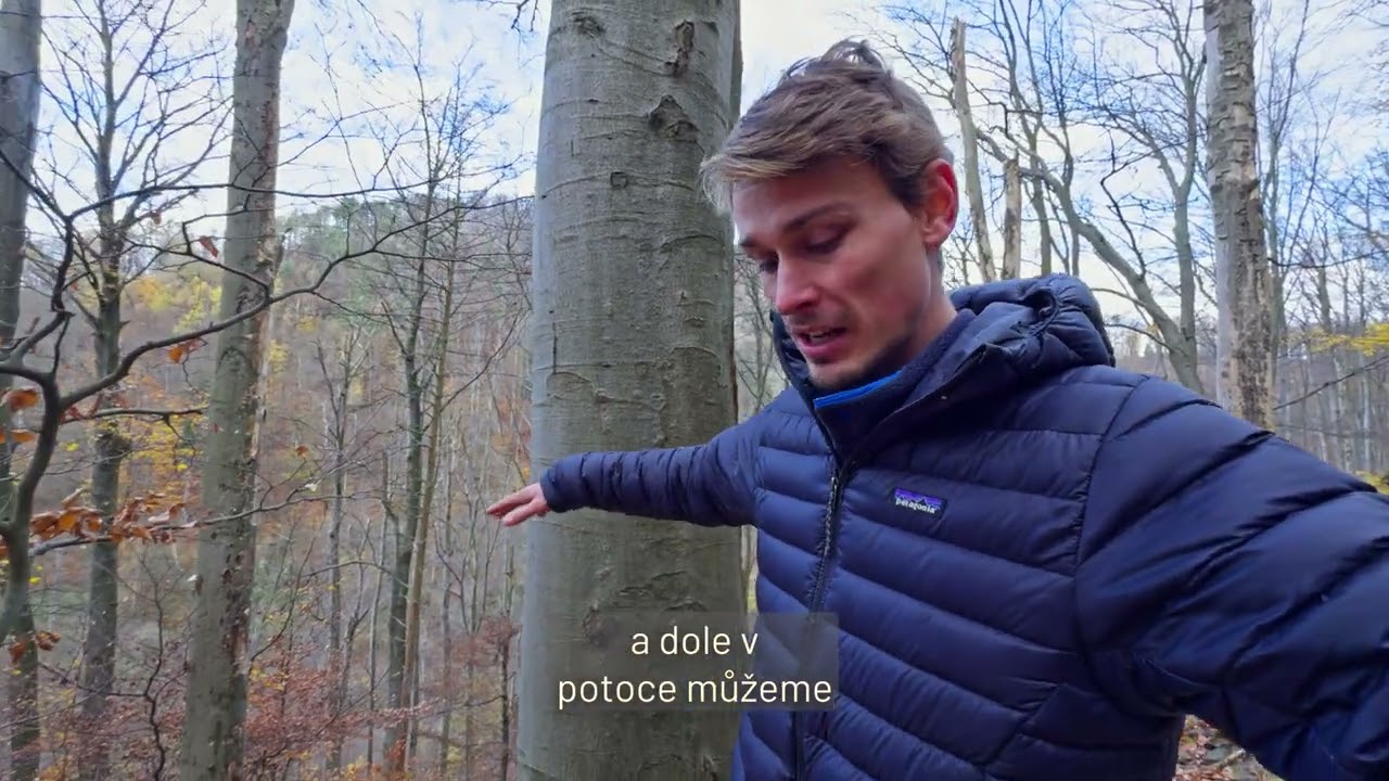 Reportáže z přírody: Ochrana české divoké přírody