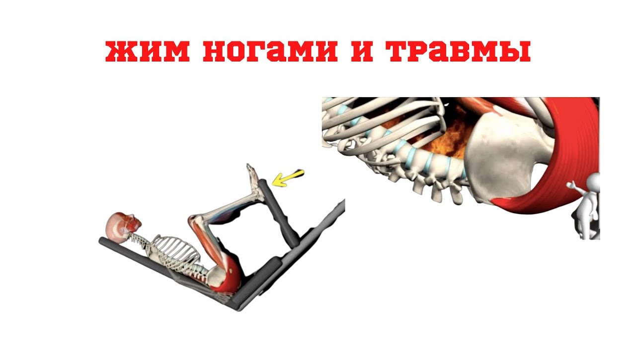 Жим ногами. Техника. Травмы
