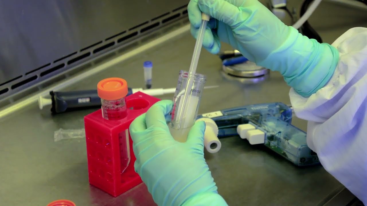 Cryopreserved Hepatocyte Thawing Demo with XenoTech's Optimized Media (2016)