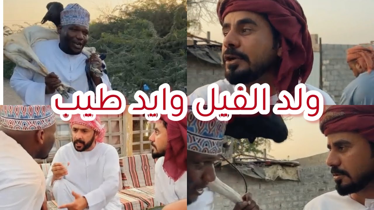 جليل ما يبي يحط كبش ولد الفيل مع بوسيف😂
