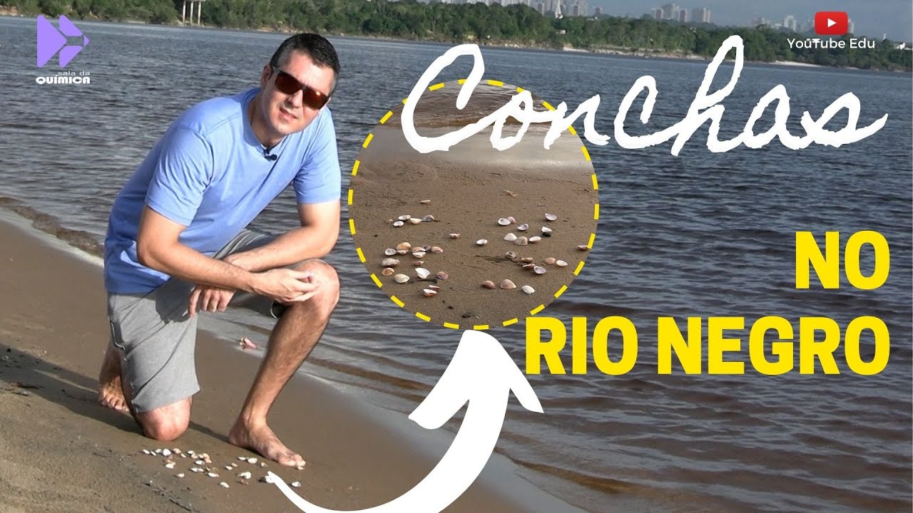 CONCHA DO MAR NO RIO AMAZONAS???