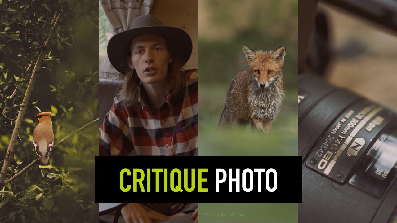 Je critique vos photos animaliere !