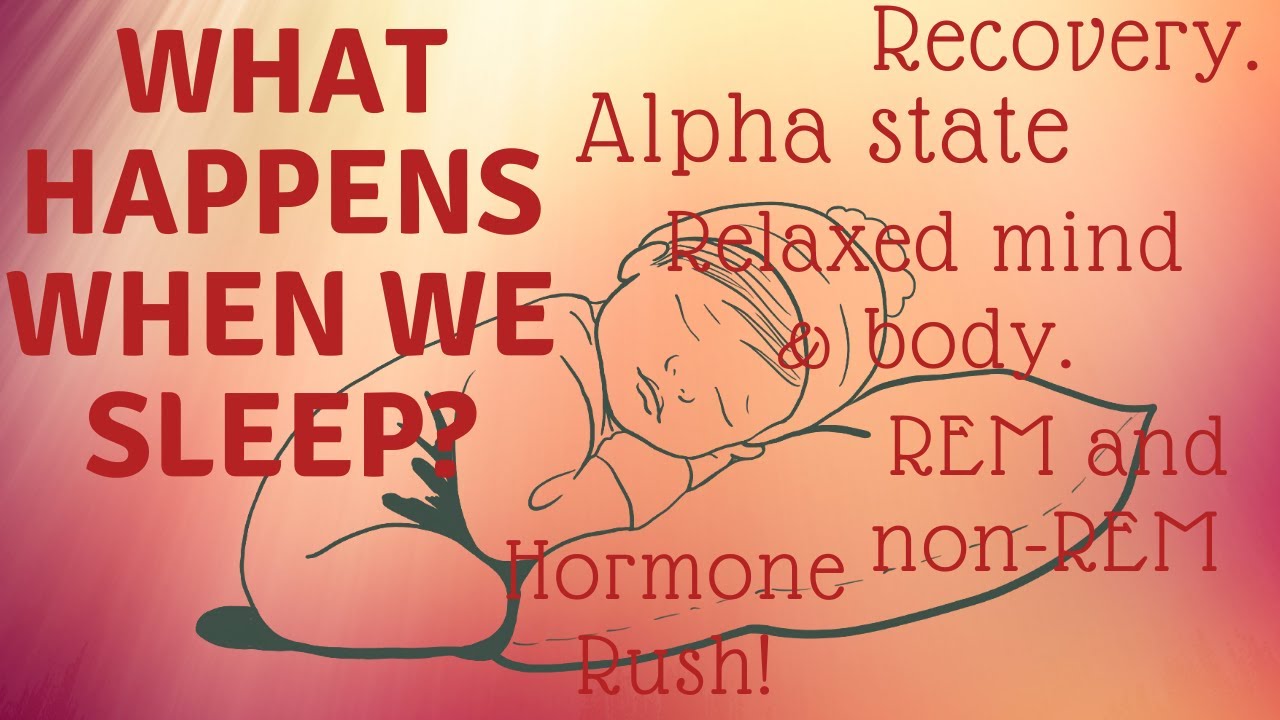 What happens to us when we sleep? - The Health Yard