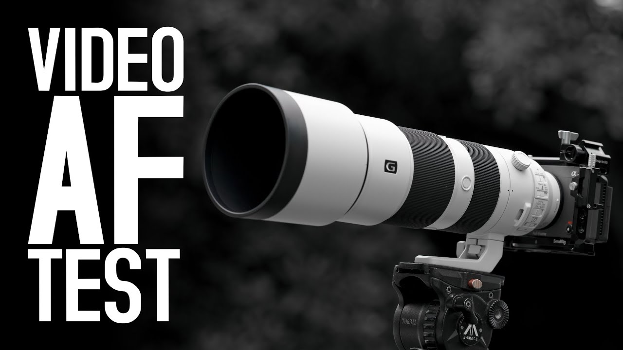 Sony 200-600mm F5,6-6,3 G OSS - Video Autofocus Test (FX3)