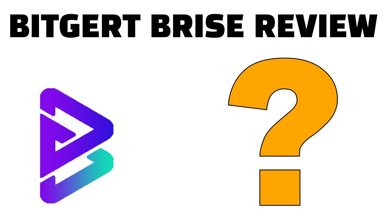 Bitgert (BRISE) Review | Is It Legit Or A Scam? Watch Before You Buy