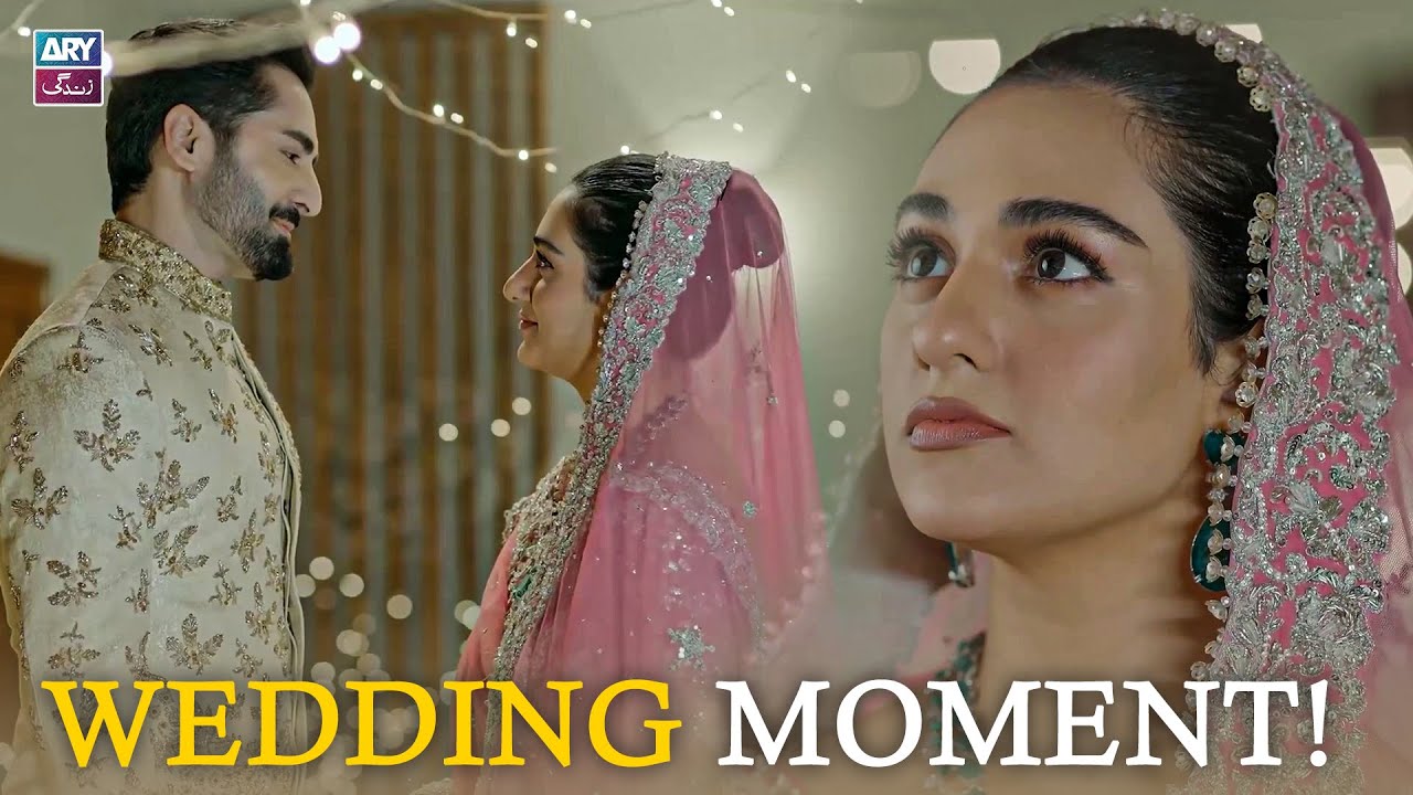 Lovely Couple! 😍🫠 | Sarah Khan | Danish Taimoor | Best Moments