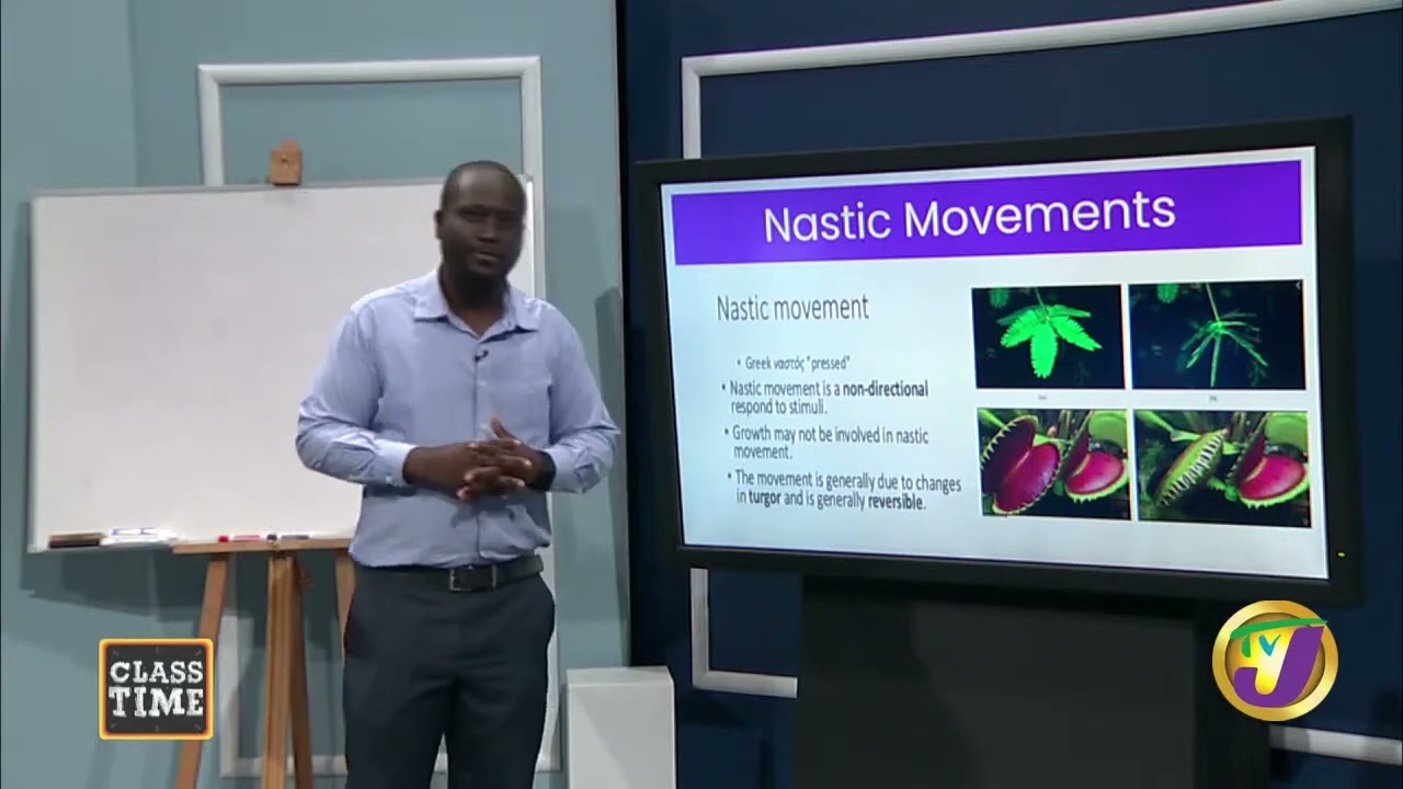 CSEC Biology Sensitivity & Coordination