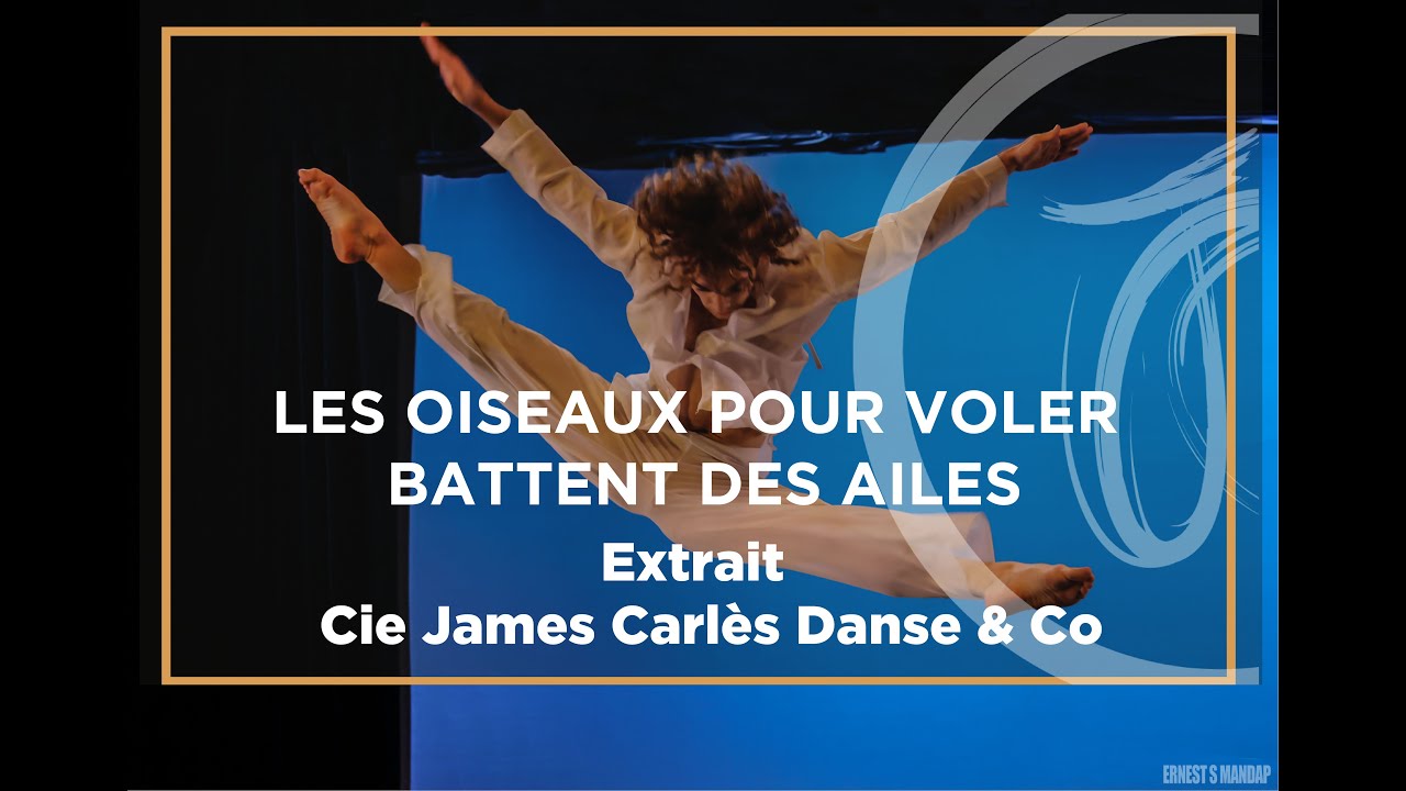 Extrait LES OISEAUX, POUR VOLER, BATTENT DES AILES - Cie James Carlès Danse & Co