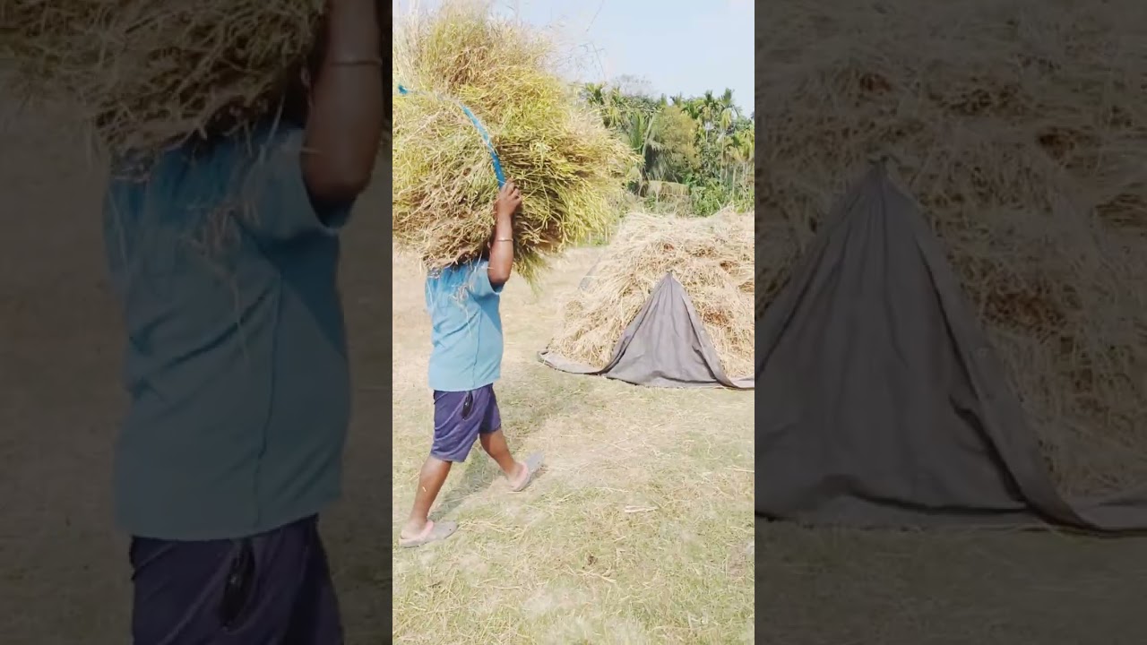 Viral video 