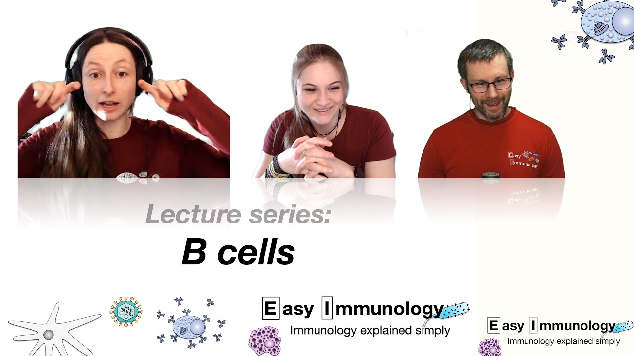 Easy Immunology Lecture Series: 4 B cells