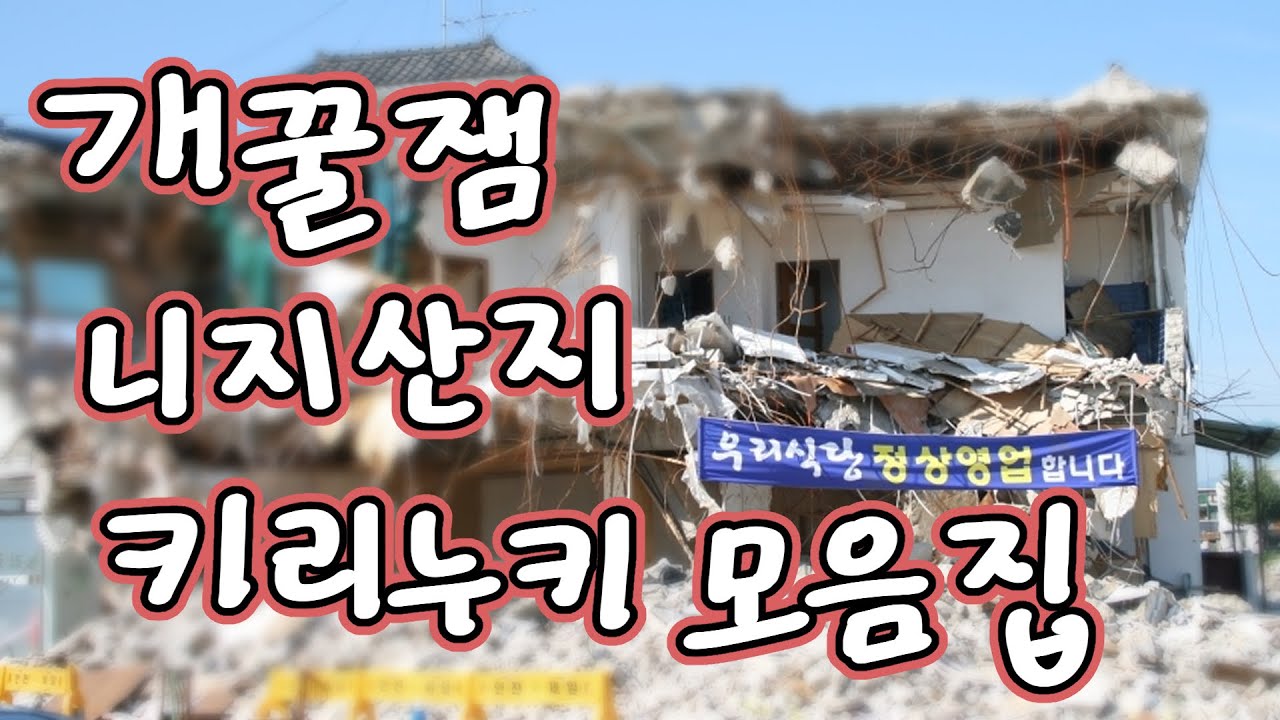 쉬는동안 본 재밌는 영상들 모음집 [니지산지]