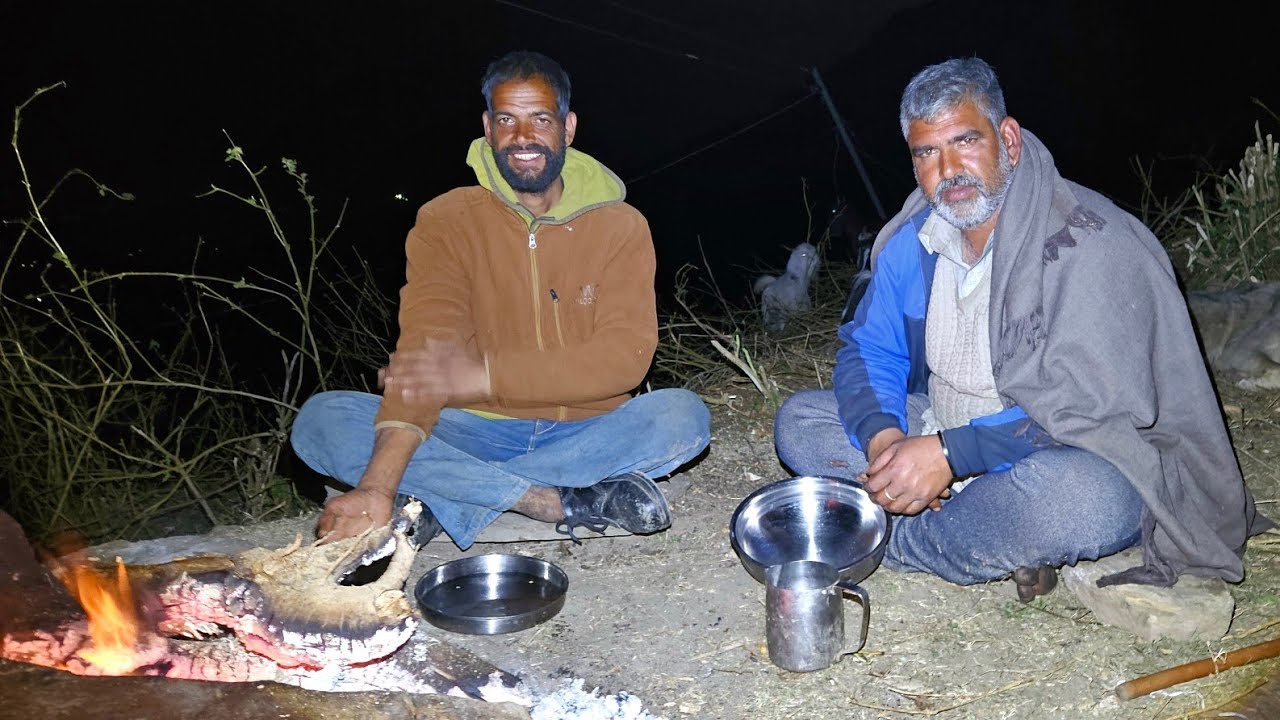 Forest WINTER CAMPING🔥 WITH HIMALAYAN NOMADIC HINDU GUJJAR SHEPHERD'S. Bhotiya Puppies 🔥 Himachali 