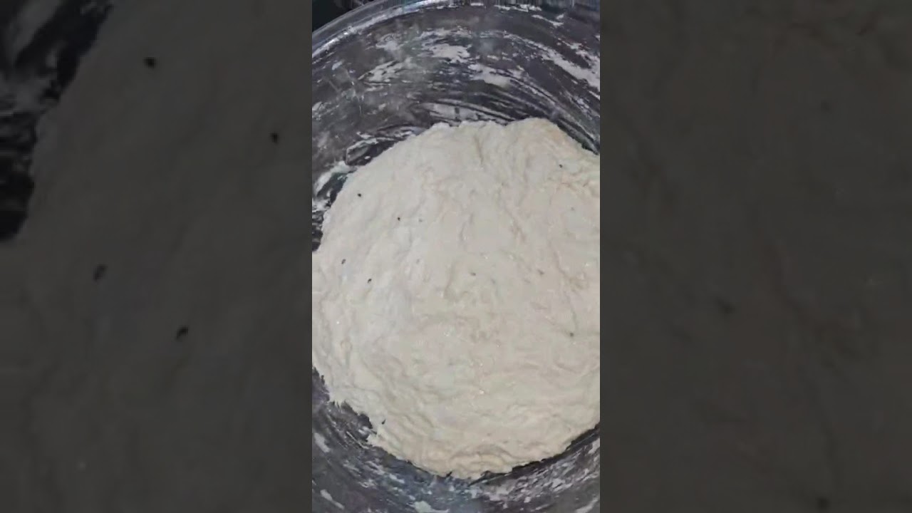 نوضي تشو ديريلي هذا الخبز المنفوخ فالكوشة و رديلي الخبر سيدتي راني نقارعلك❤️👩🏽‍🍳