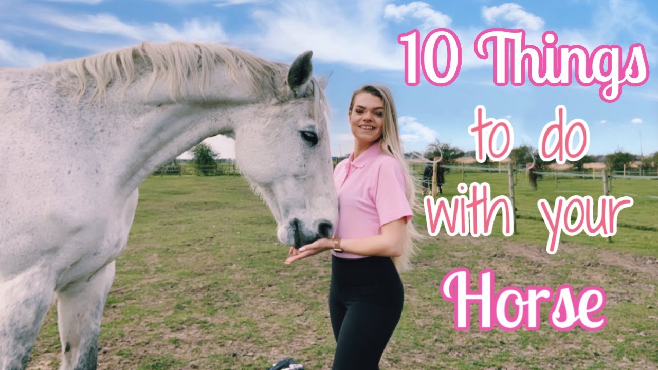 10 Things To Do With Your Horse During Lock Down | Other than Riding | Day 12