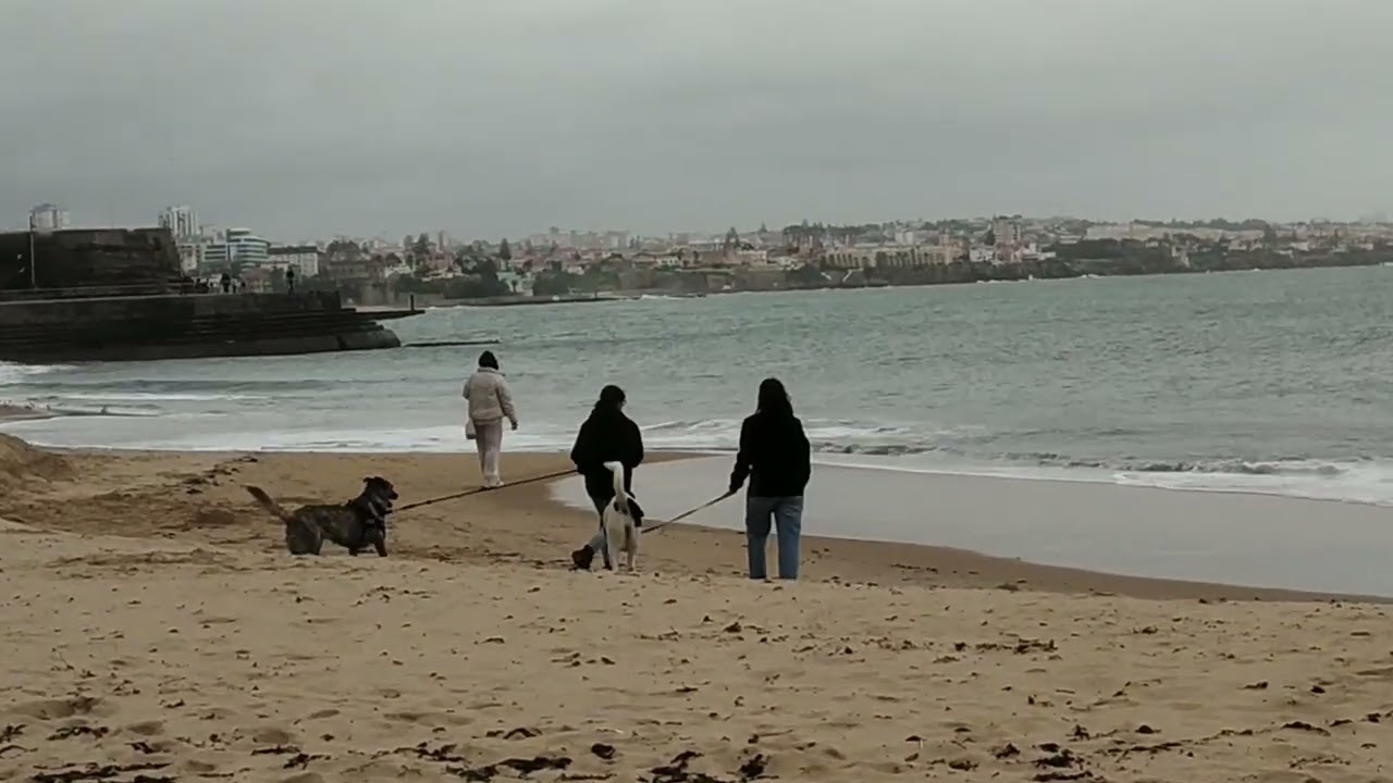 Cascais beach Lisbon Portugal 