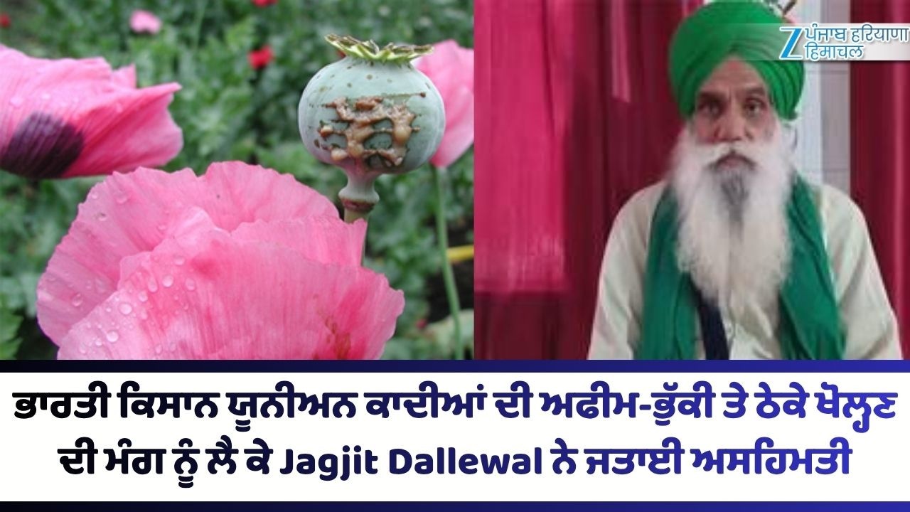 ਭਾਰਤੀ ਕਿਸਾਨ ਯੂਨੀਅਨ ਕਾਦੀਆਂ ਦੀ ਅਫੀਮ-ਭੁੱਕੀ ਤੇ ਠੇਕੇ ਖੋਲ੍ਹਣ ਦੀ ਮੰਗ ਨੂੰ ਲੈ ਕੇ Dallewal ਨੇ ਜਤਾਈ ਅਸਹਿਮਤੀ