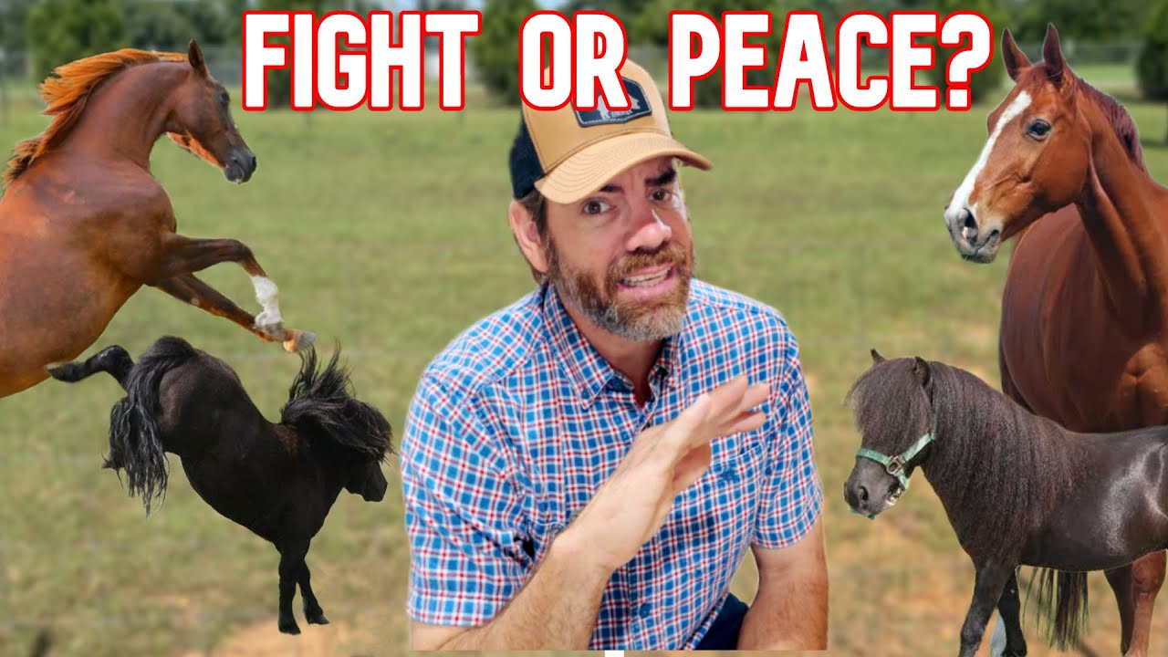 Is This A HUGE Mistake-Putting All the Horses Together?
