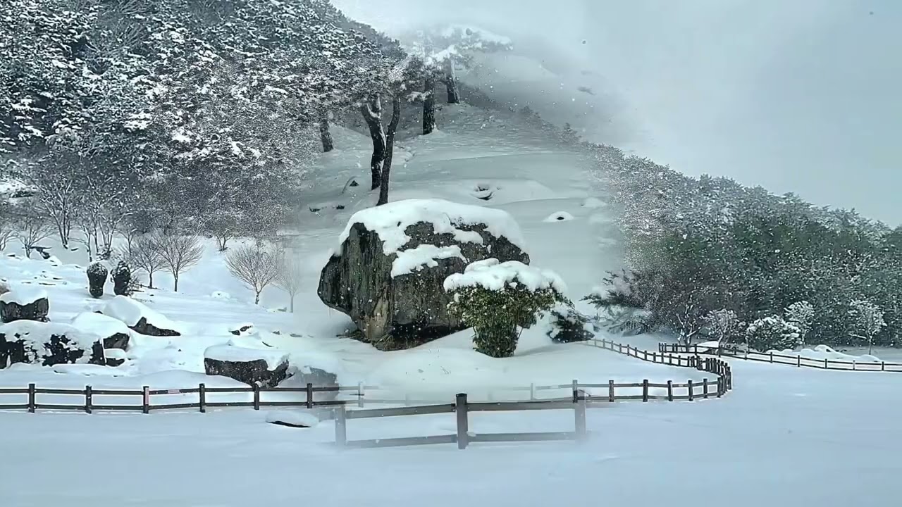 고창 고인돌 유적지 (Gochang Dolmen Site)
