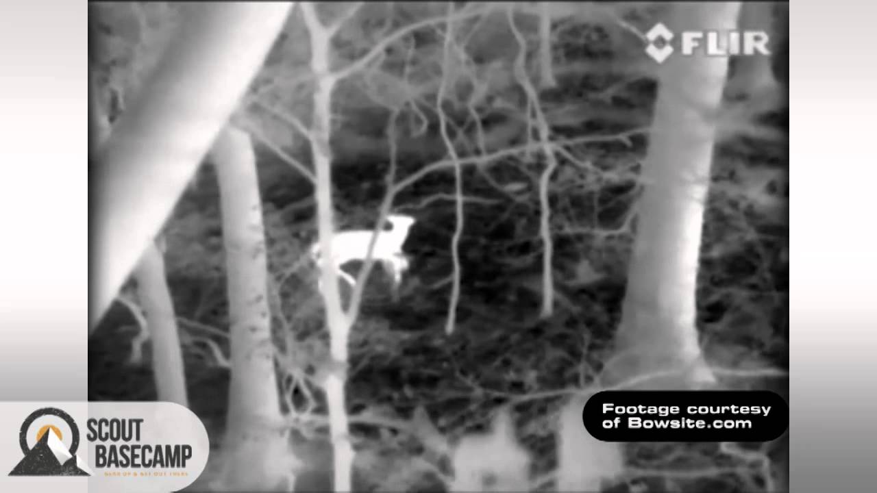 FLIR Scout for Game Retrieval: User Story from Timber Oregon