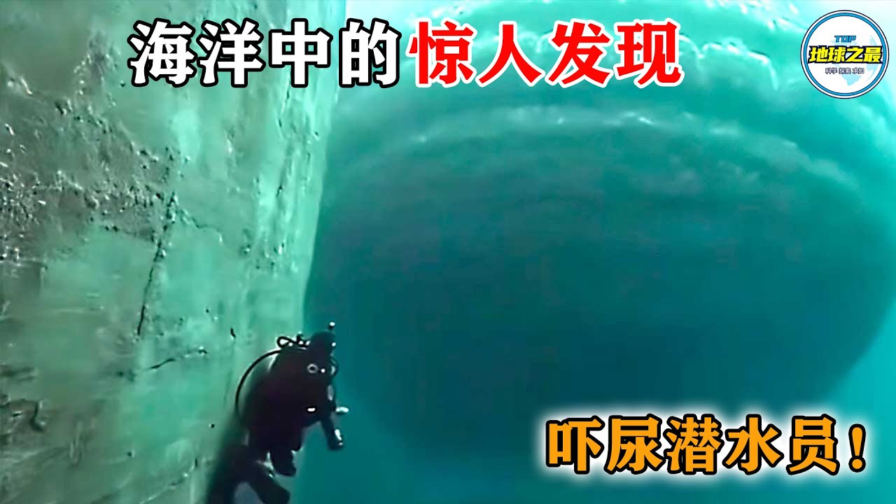 吓尿潜水员！绵延数公里的巨型物体正在海底移动！15个最惊人的海洋发现，每一个都让人惊掉下巴！丨地球之最#冷知识 #排名 #世界之最
