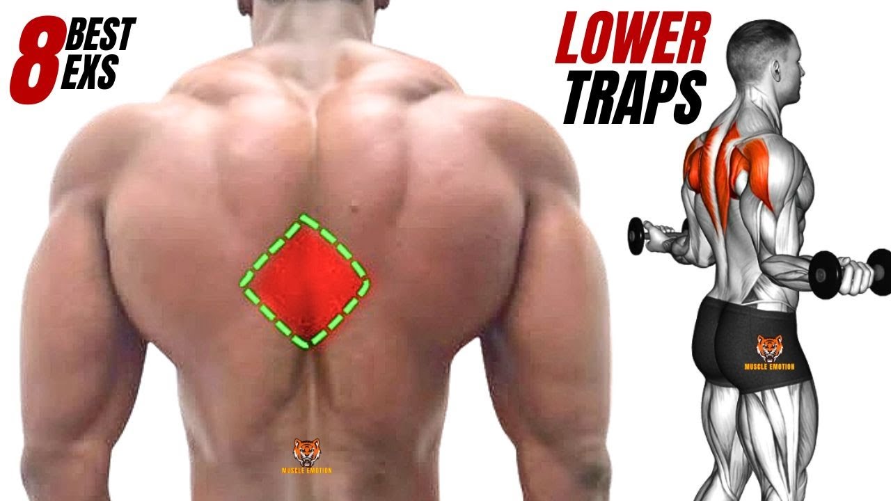 TRAPS WORKOUT- top 8 best LOWER Traps exercises at gym