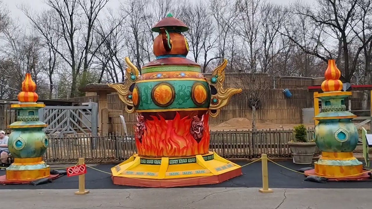 January 31, 2026，MS zoo