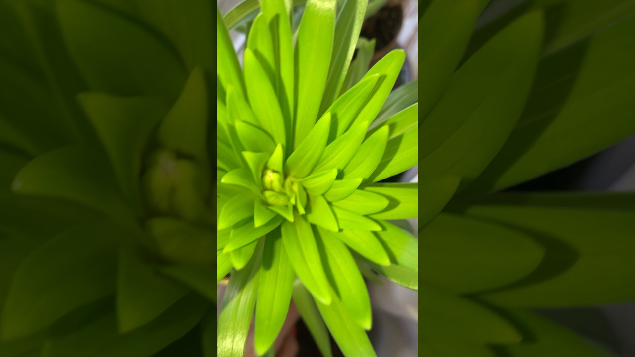 28 января 2026 г.