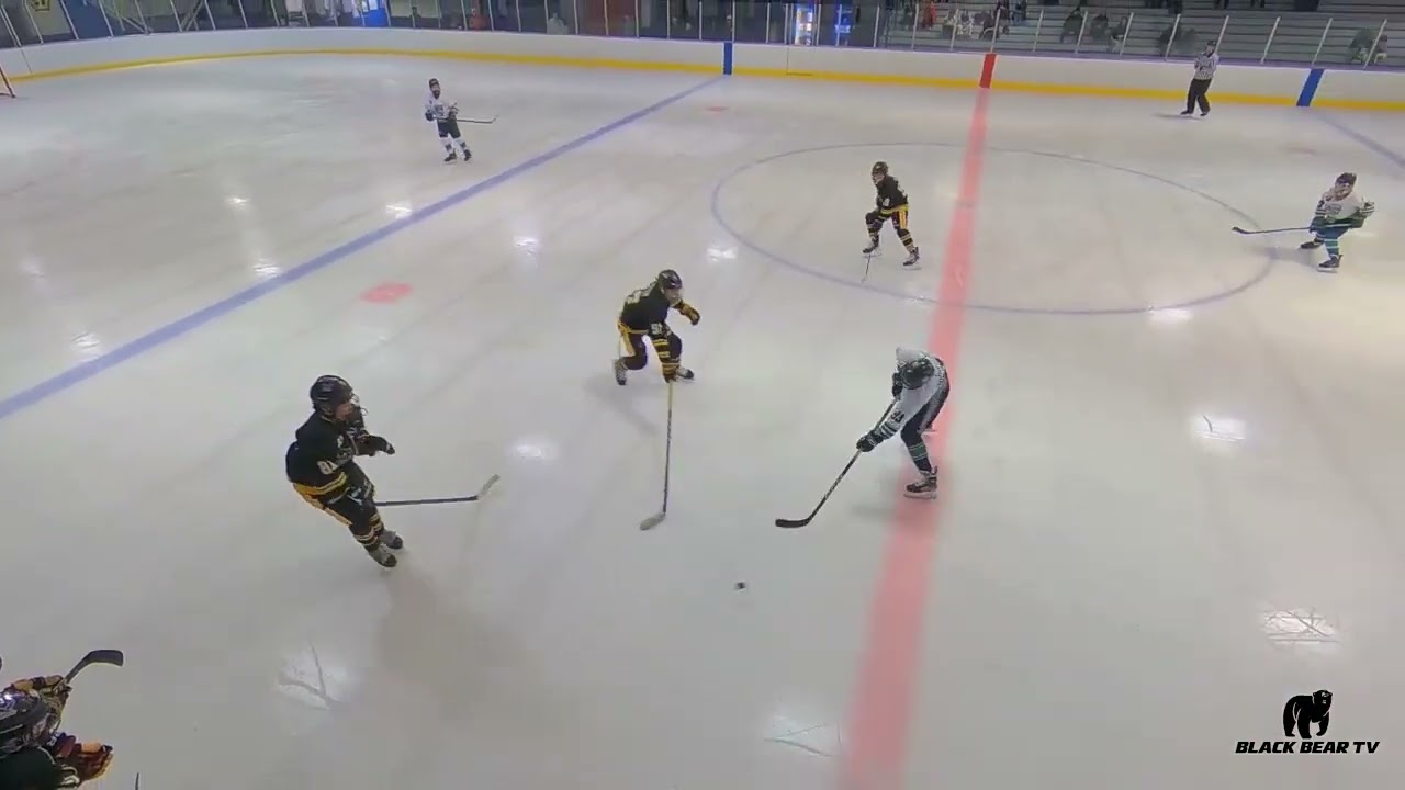 @ Wolfpack 12U AA
