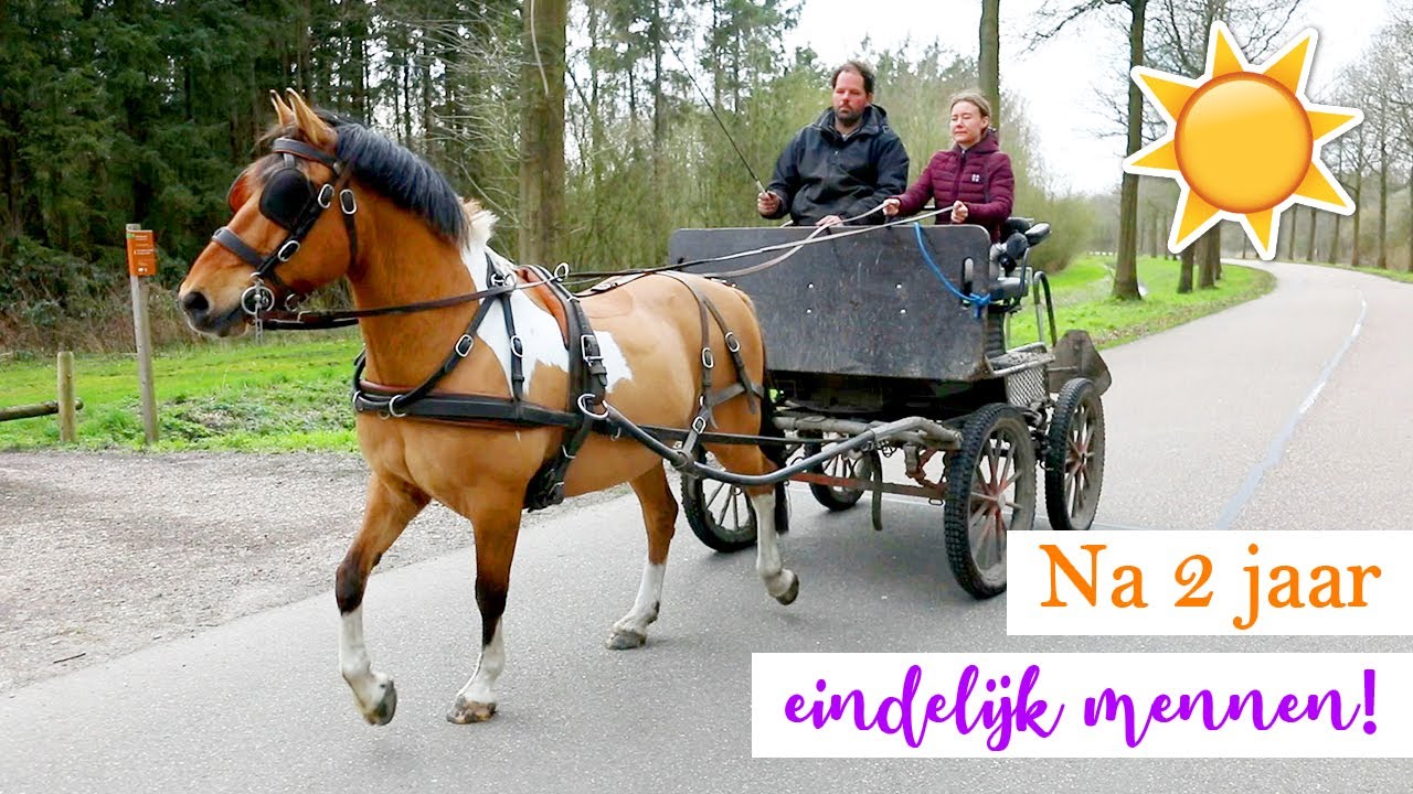 NA 2 JAAR WEER MENNEN MET MARLEY! | felinehoi