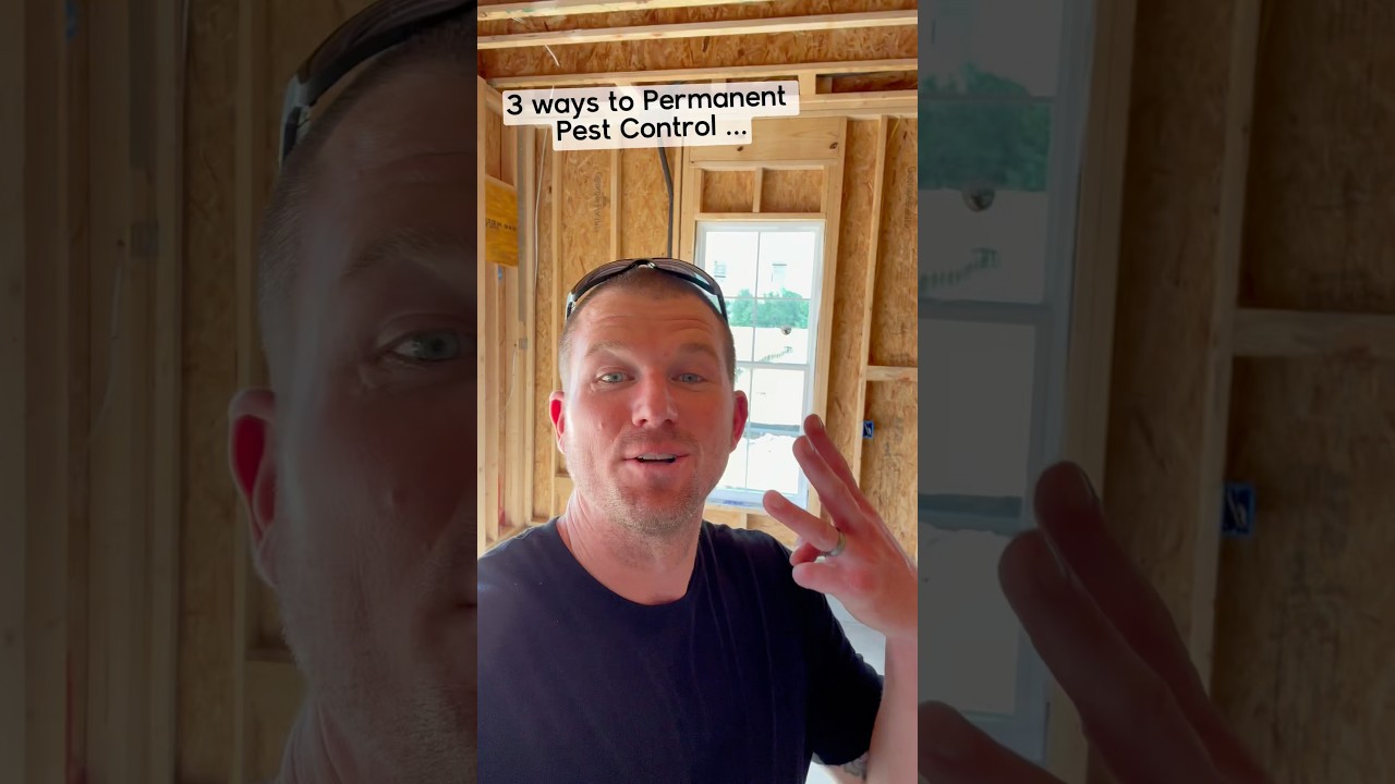 Permanent Pest control for your house&hellip;🪳