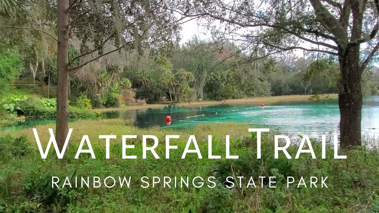 WATERFALLS in Florida | Rainbow Springs State Park